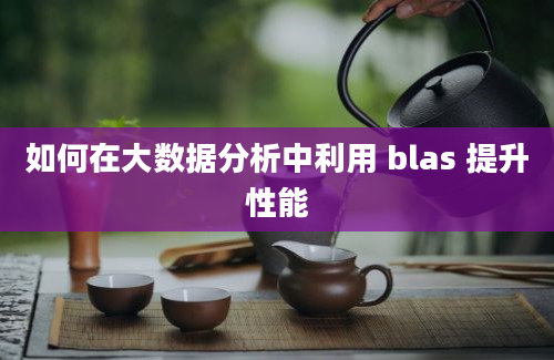 如何在大数据分析中利用 blas 提升性能