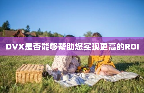 DVX是否能够帮助您实现更高的ROI