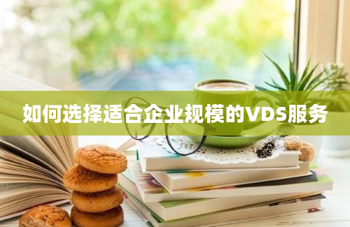 如何选择适合企业规模的VDS服务