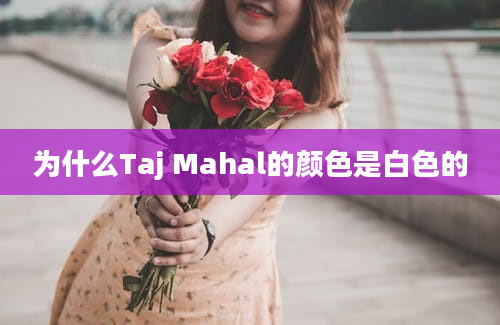 为什么Taj Mahal的颜色是白色的