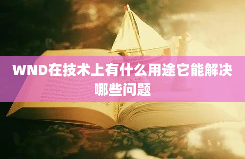 WND在技术上有什么用途它能解决哪些问题