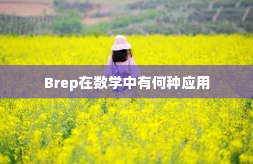 Brep在数学中有何种应用