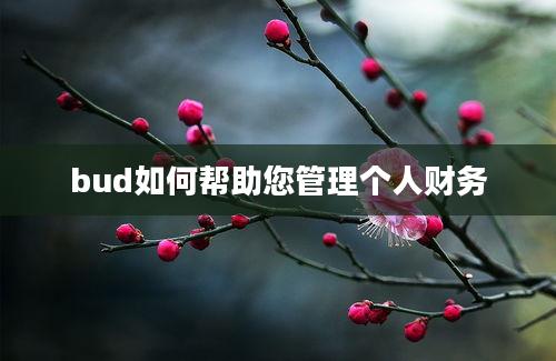 bud如何帮助您管理个人财务