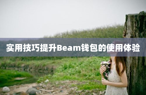 实用技巧提升Beam钱包的使用体验