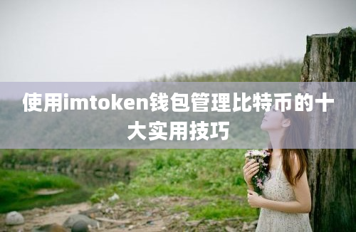 使用imtoken钱包管理比特币的十大实用技巧