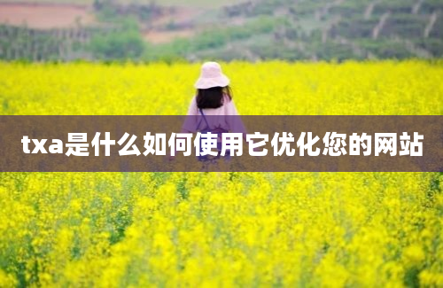 txa是什么如何使用它优化您的网站