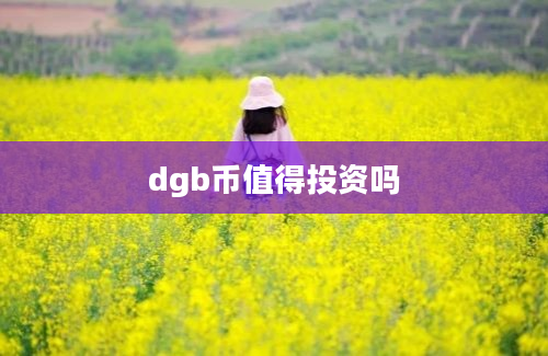 dgb币值得投资吗