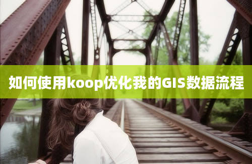 如何使用koop优化我的GIS数据流程