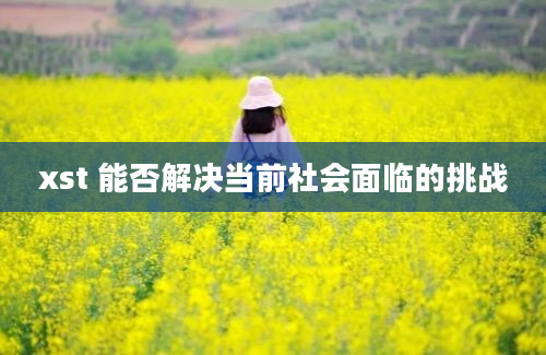 xst 能否解决当前社会面临的挑战