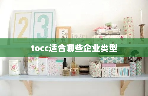 tocc适合哪些企业类型