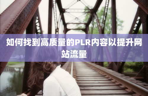 如何找到高质量的PLR内容以提升网站流量