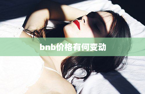 bnb价格有何变动