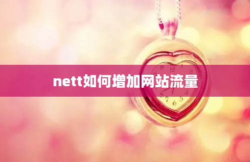 nett如何增加网站流量