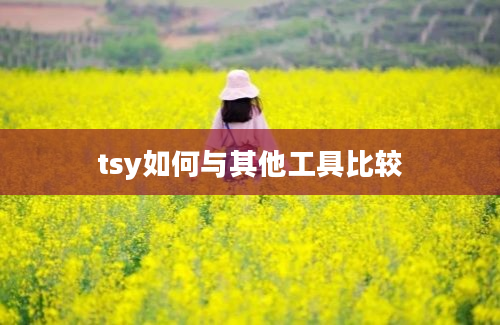 tsy如何与其他工具比较