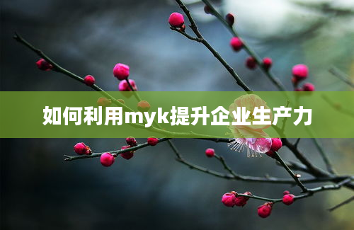 如何利用myk提升企业生产力