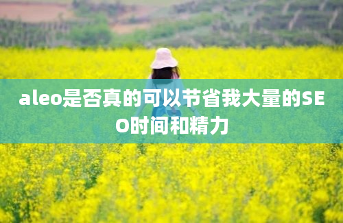 aleo是否真的可以节省我大量的SEO时间和精力