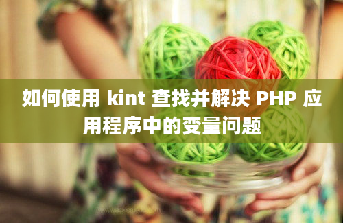 如何使用 kint 查找并解决 PHP 应用程序中的变量问题