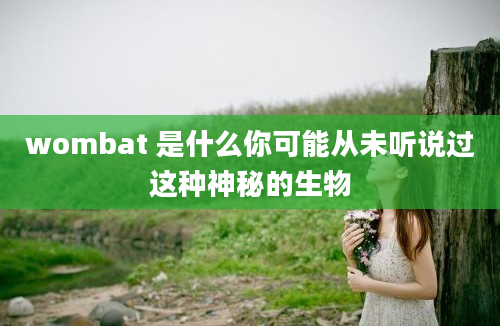 wombat 是什么你可能从未听说过这种神秘的生物