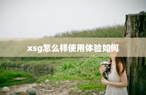 xsg怎么样使用体验如何