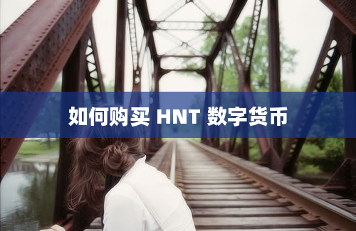 如何购买 HNT 数字货币