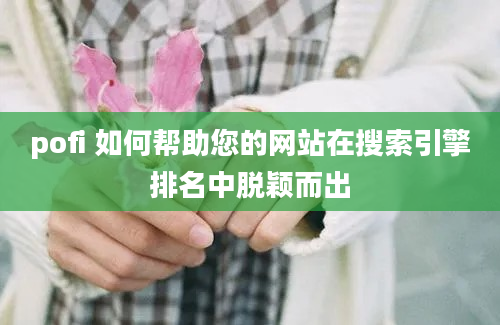 pofi 如何帮助您的网站在搜索引擎排名中脱颖而出