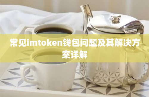 常见imtoken钱包问题及其解决方案详解