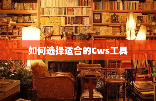 如何选择适合的Cws工具