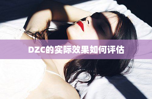 DZC的实际效果如何评估