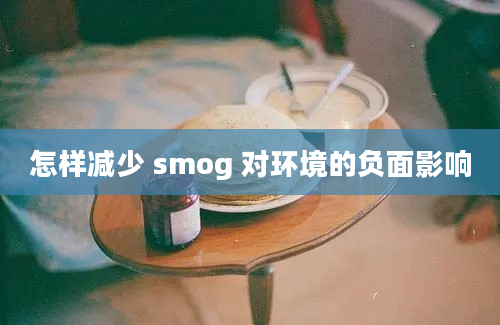 怎样减少 smog 对环境的负面影响