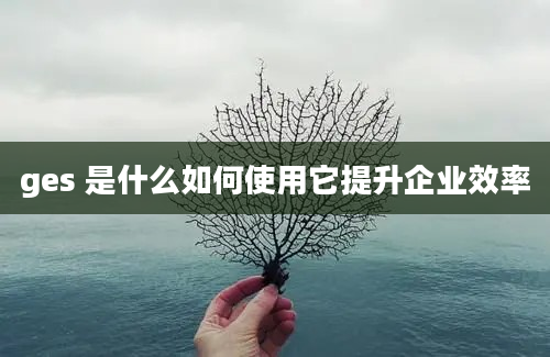 ges 是什么如何使用它提升企业效率