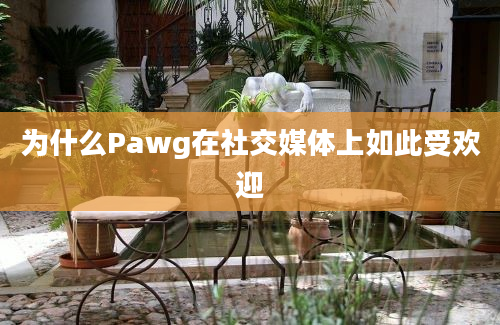 为什么Pawg在社交媒体上如此受欢迎