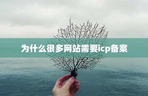 为什么很多网站需要icp备案