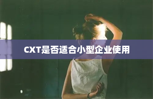 CXT是否适合小型企业使用