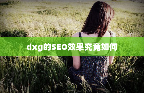 dxg的SEO效果究竟如何