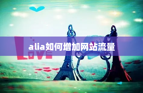 alia如何增加网站流量