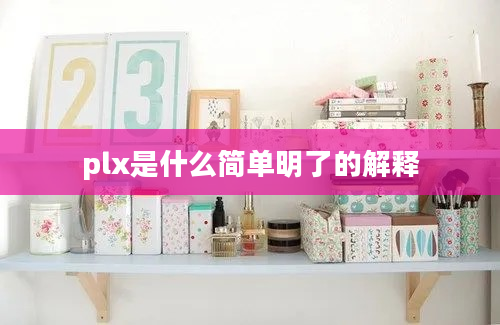 plx是什么简单明了的解释