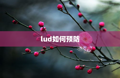 lud如何预防