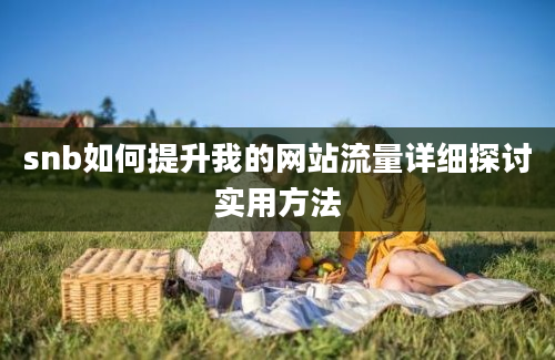 snb如何提升我的网站流量详细探讨实用方法