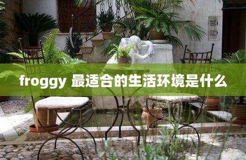 froggy 最适合的生活环境是什么