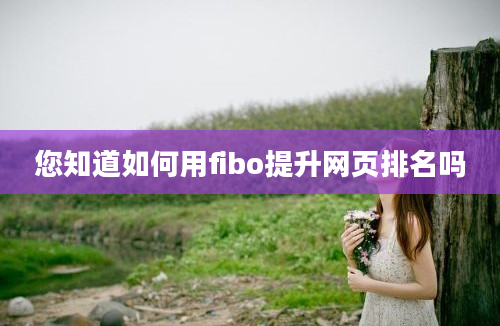 您知道如何用fibo提升网页排名吗