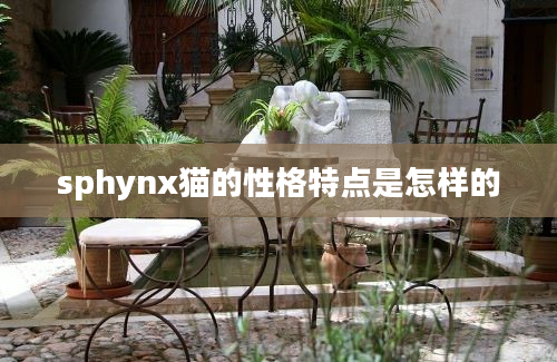 sphynx猫的性格特点是怎样的