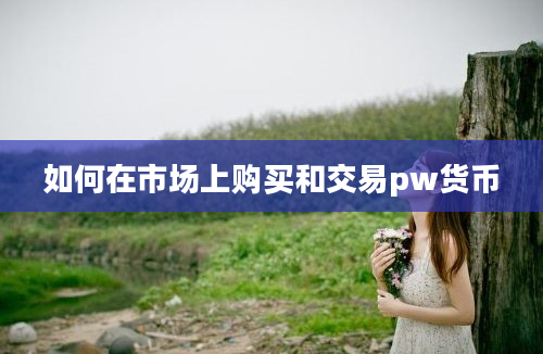 如何在市场上购买和交易pw货币