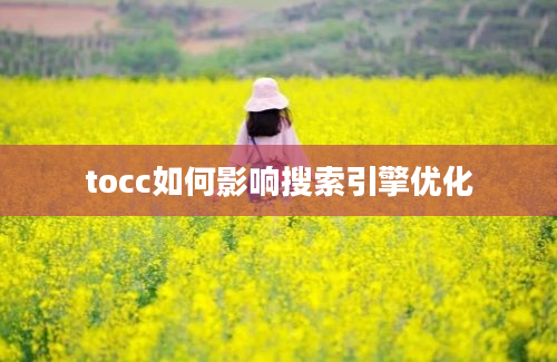 tocc如何影响搜索引擎优化