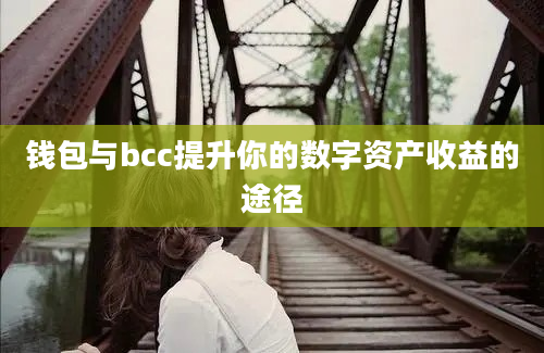 钱包与bcc提升你的数字资产收益的途径