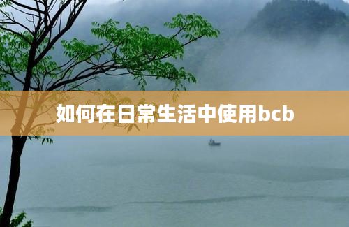 如何在日常生活中使用bcb