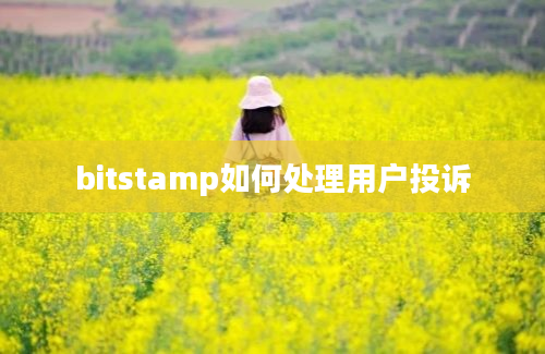 bitstamp如何处理用户投诉