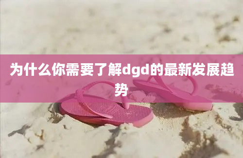 为什么你需要了解dgd的最新发展趋势