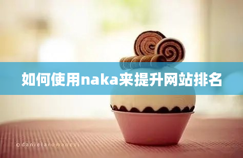 如何使用naka来提升网站排名