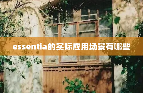 essentia的实际应用场景有哪些