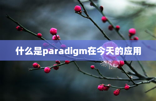 什么是paradigm在今天的应用